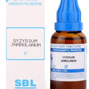 SBL Syzygium Jambolanum Mother Tincture Q Pack of 2