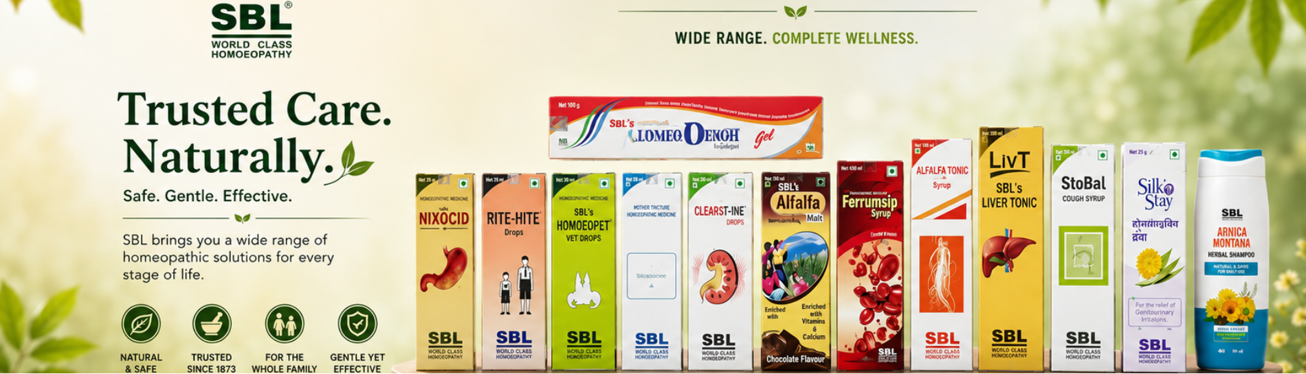 sbl banner
